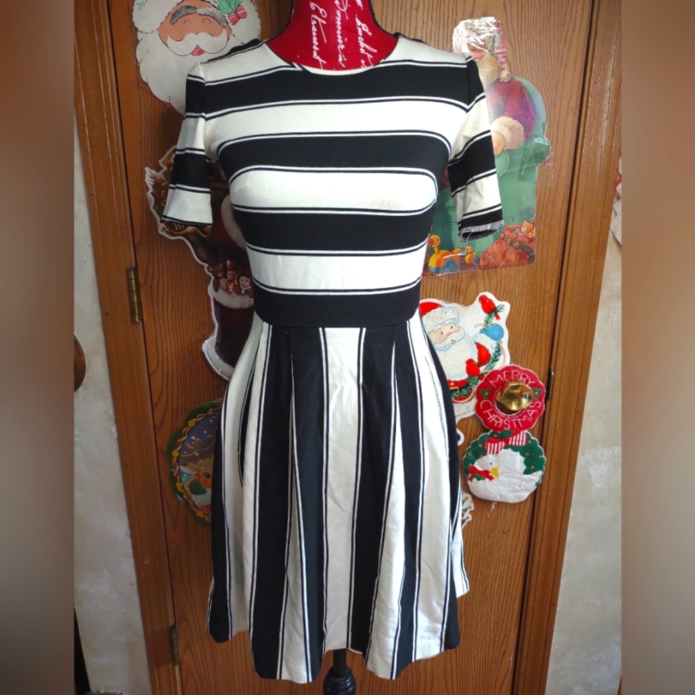 Loft dress  2/3